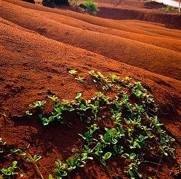 科幻战略游戏《群星》全新DLC“宏伟档案”现已正式推出 获好评